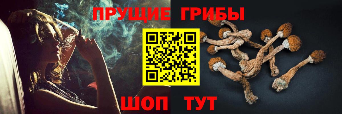 Галлюциногенные грибы Psilocybe  Вход с VPN  Псилоцибиновые грибы мицелий  Лесосибирск 